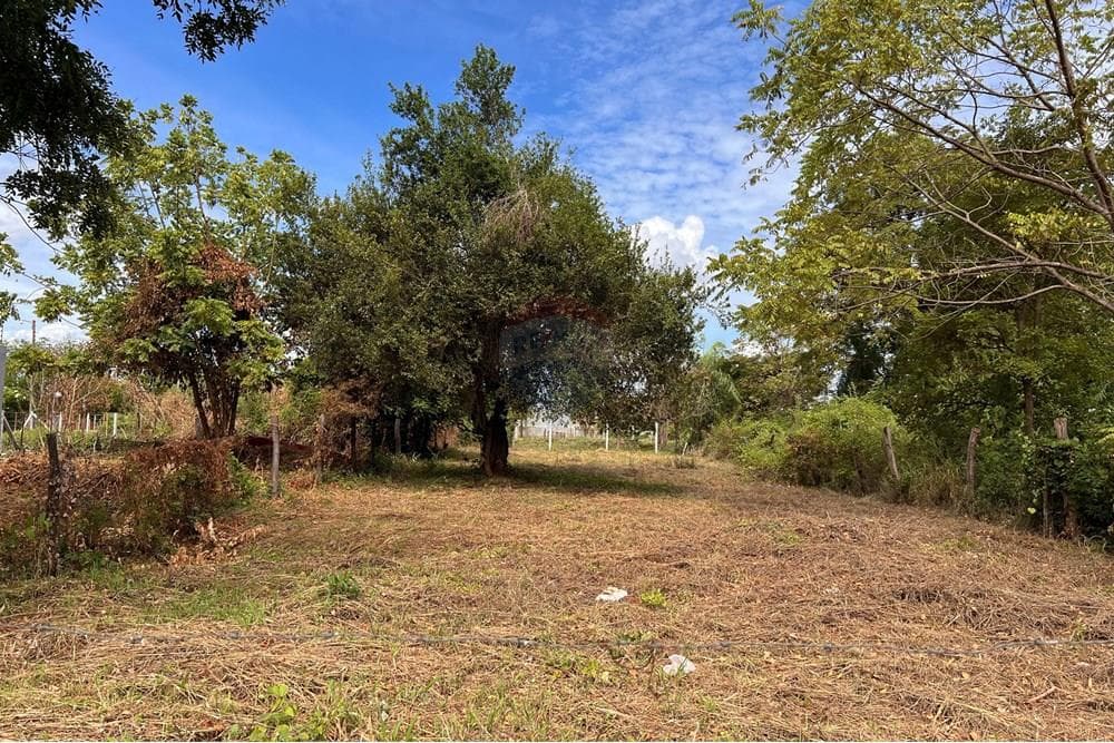 Terreno de 624 m2 en Jardín De Oro Luque, foto 3