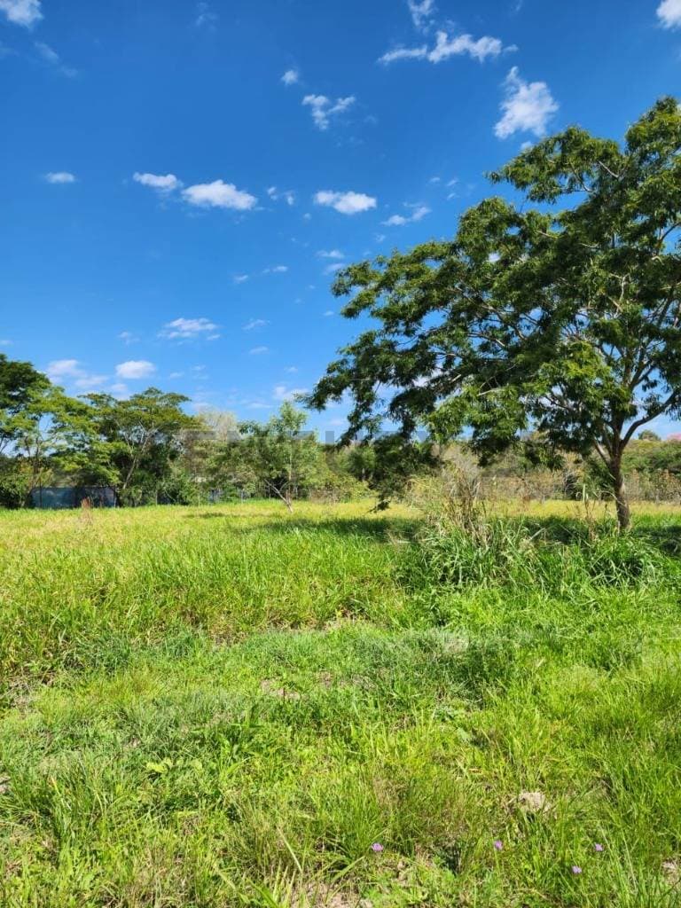 De Terreno En Mariano Roque Alonso, Central, foto 4