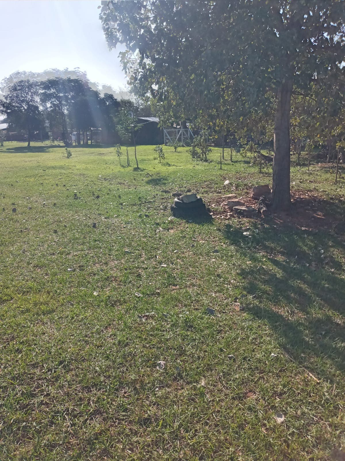Luque Mora Cue 32.221m2 Cerca Fabrica Amandau — foto 2