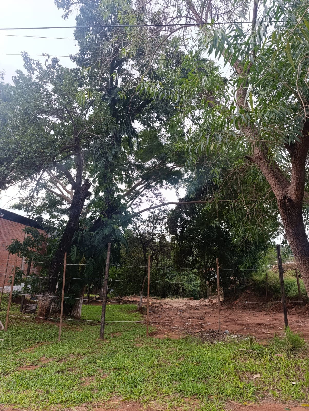 En venta terreno ubicado en San Lorenzo Barcequillo, foto 3