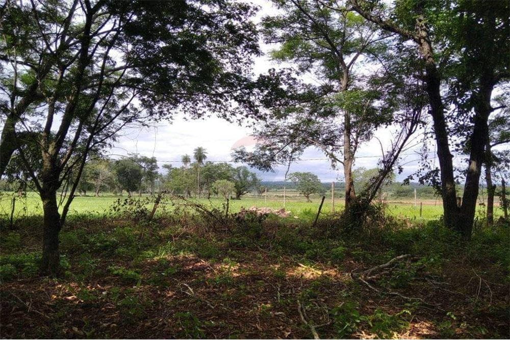 Terreno - Venta - Paraguay Central Villeta, foto 4