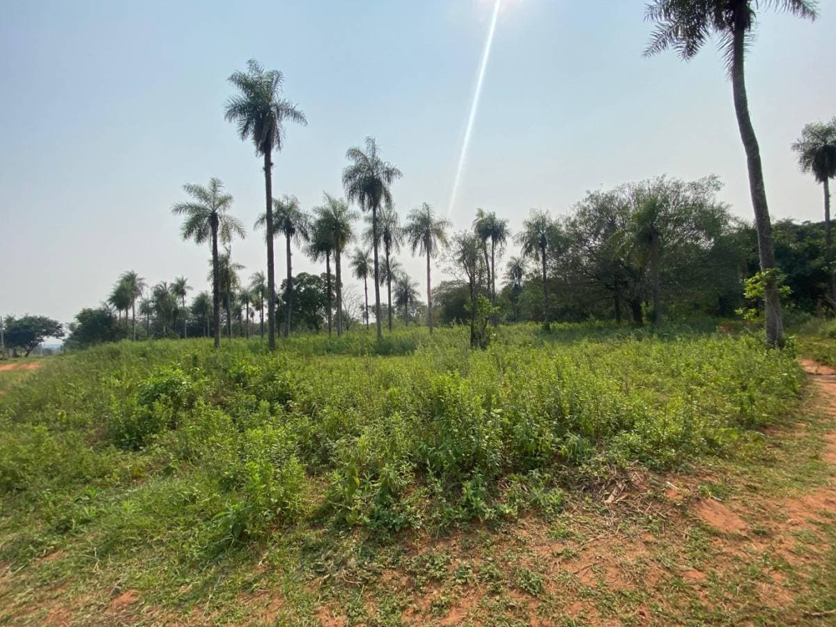 Terreno en Venta – Valle Pucú, Areguá — foto 5