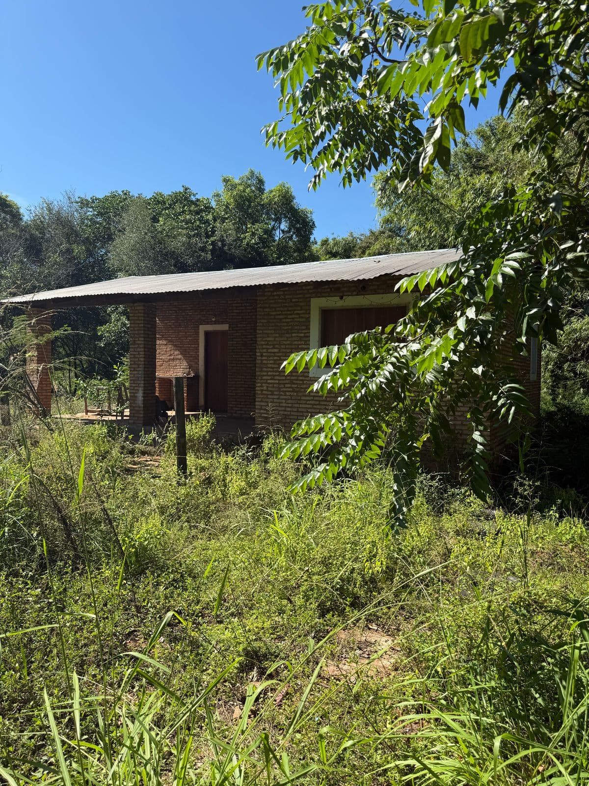 Chacra En Luque - Areguá 7 Hectáreas — foto 5