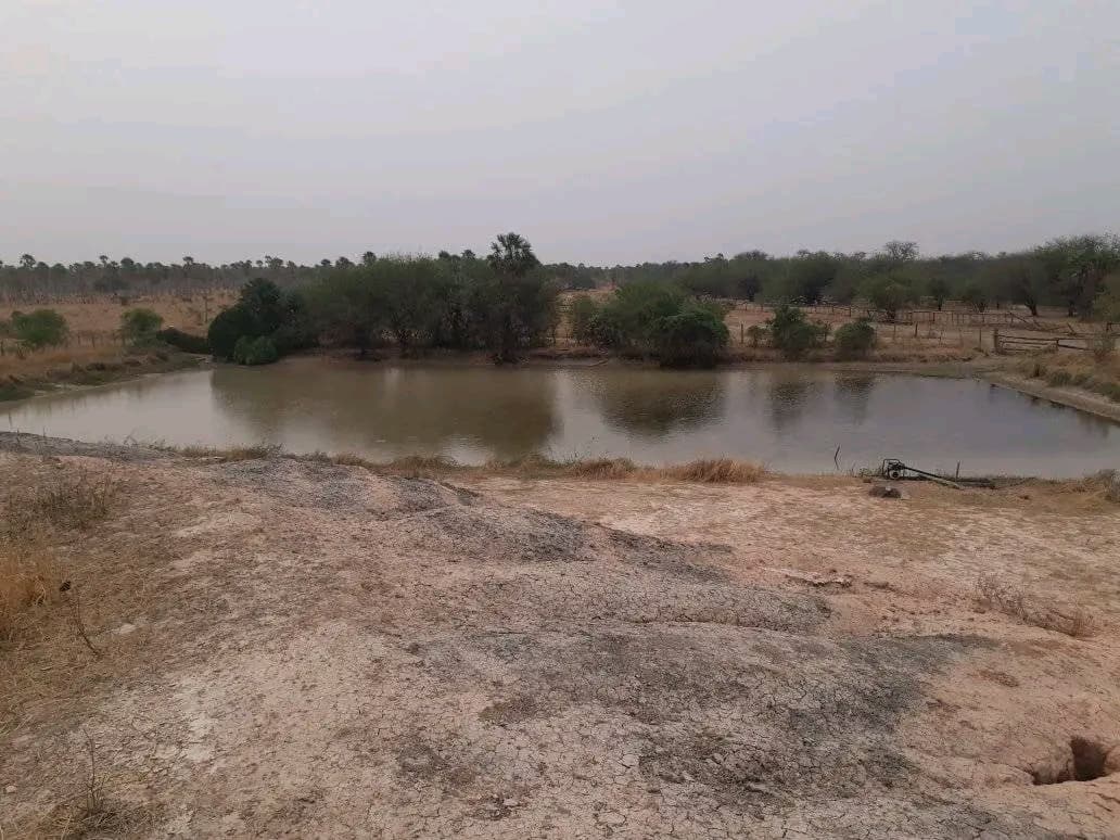 Estancia en alto paraguay-fortin florida, foto 3