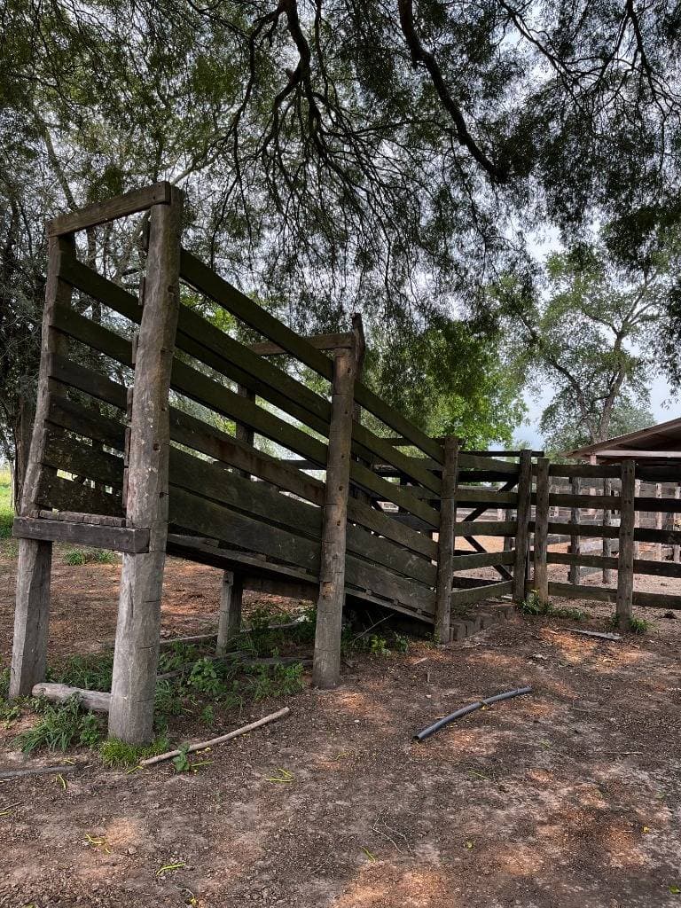 En venta estancia formada y en produccion de 554 hectáreas, foto 2