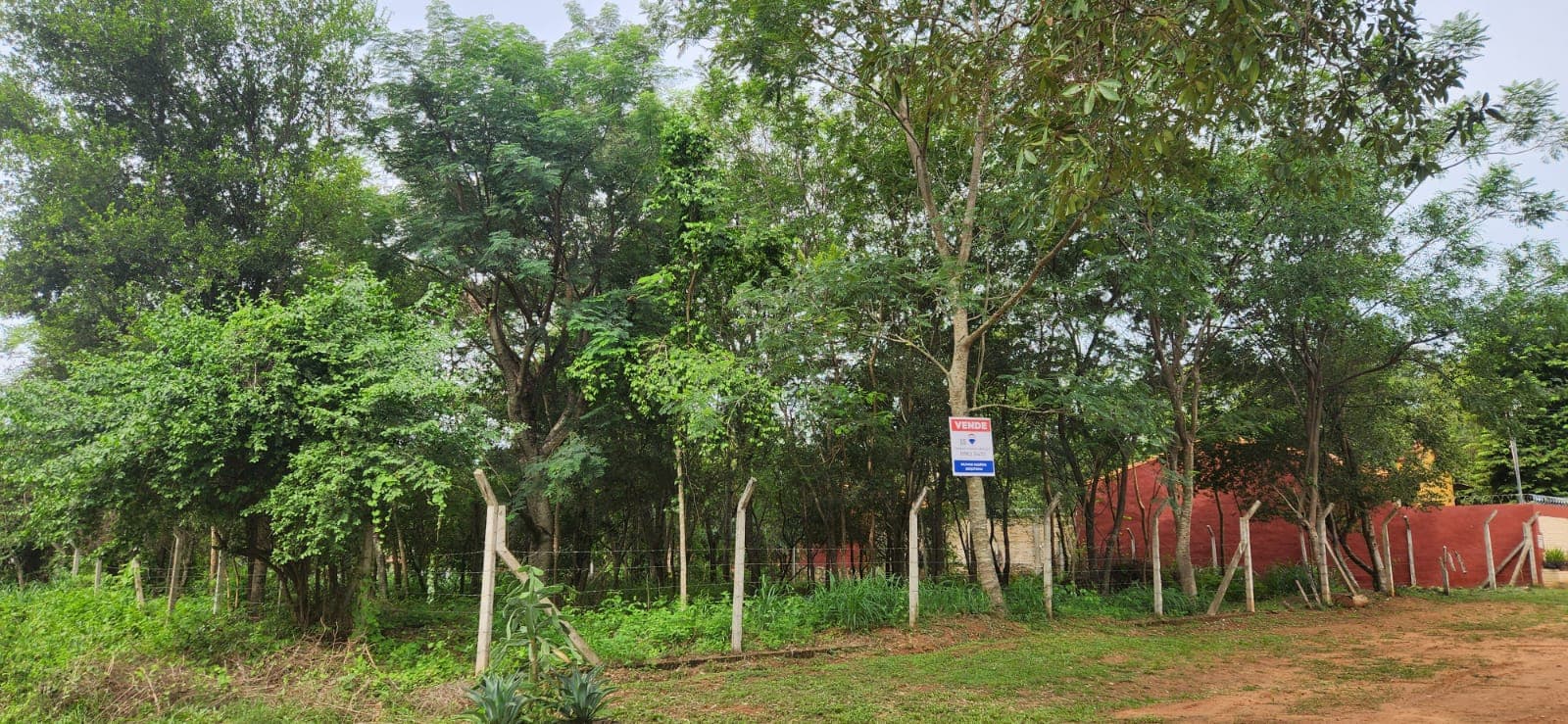 Terreno en caacupemi - aregua, foto 2