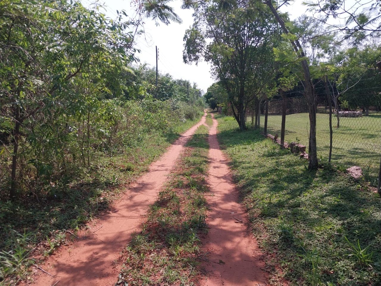 3 terrenos juntos en aregua pindolo, foto 5