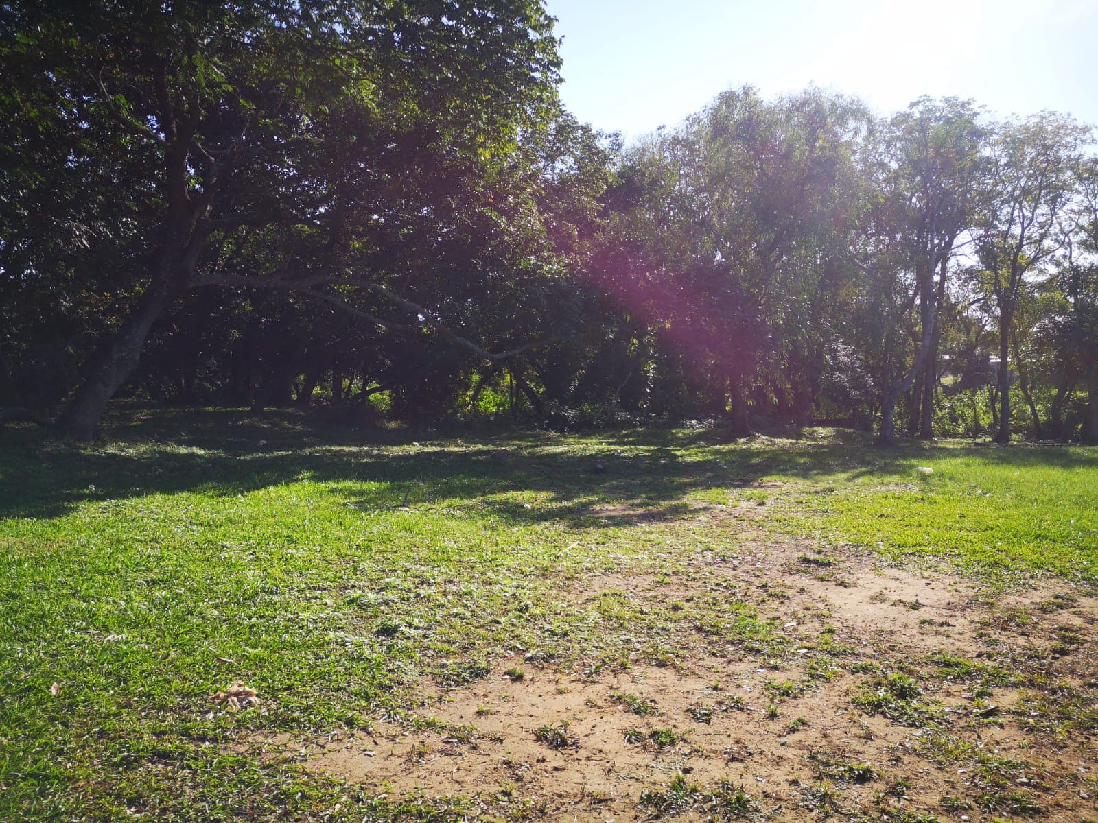 Terreno de 10.000 m2 con Tinglado en San Lorenzo-CLLA5405566, foto 5