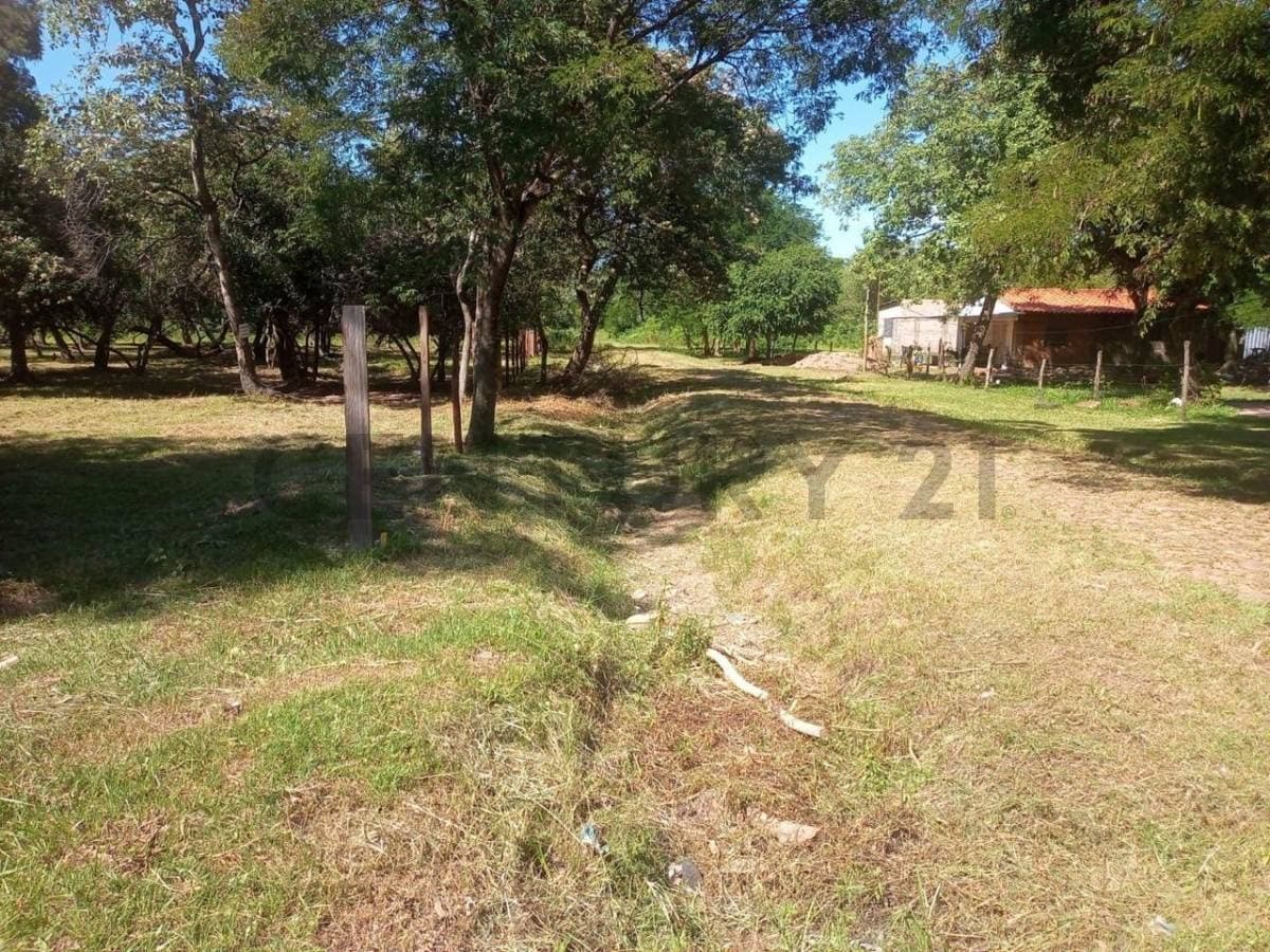Terreno en San Bernardino- Fraccion ciervo cua- zona Heriberta Matiauda, foto 5