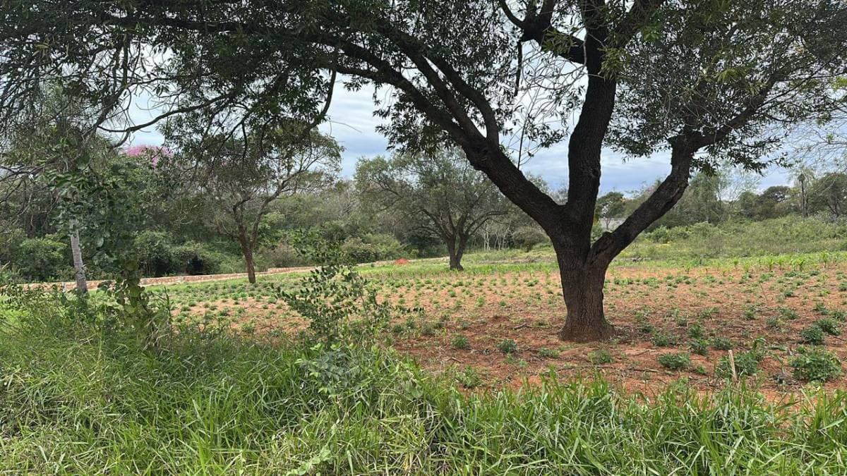 EN VENTA – TERRENO EN Luque, camino a Luque–Areguá, foto 2
