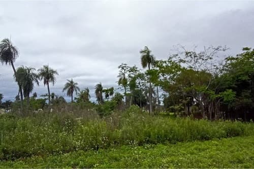 Terreno en la ciudad de ita limite itaugua, foto 5