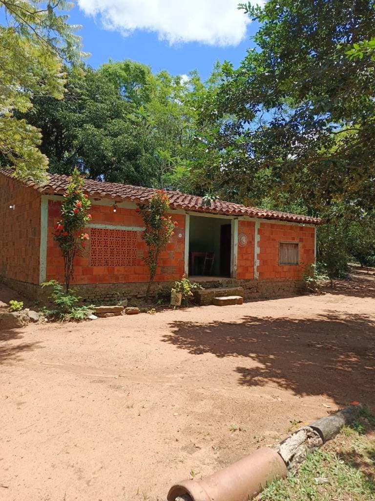 En venta propiedad agricola en paraguari mbatovi, foto 3