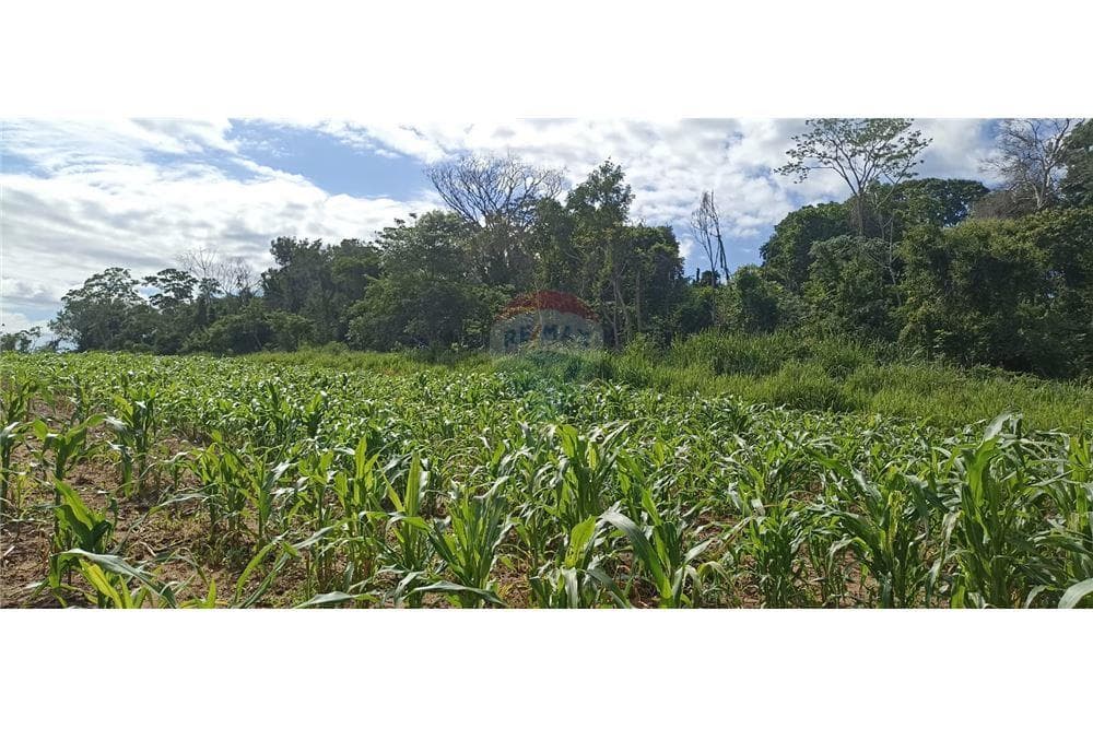 70 hectareas en paraguari mbuyapey, foto 2