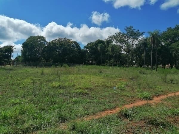 6 lotes juntos en areguá - 70m de la ruta, foto 3