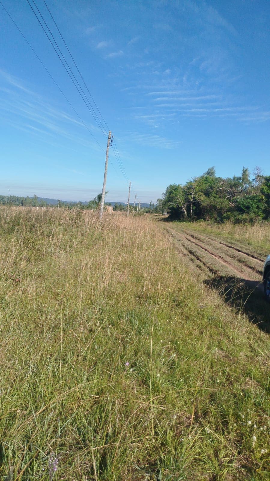 Terreno - Venta - Ypacaraí, Central, Paraguay