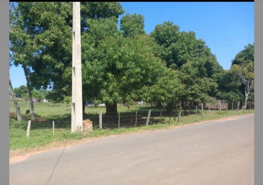 De Terreno De 1424 M2 En Nueva Italia, Sobre Asfalto, foto 3