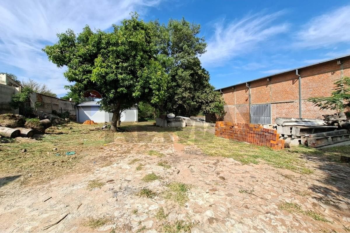Amplio terreno con depositos en Villa Elisa, foto 4