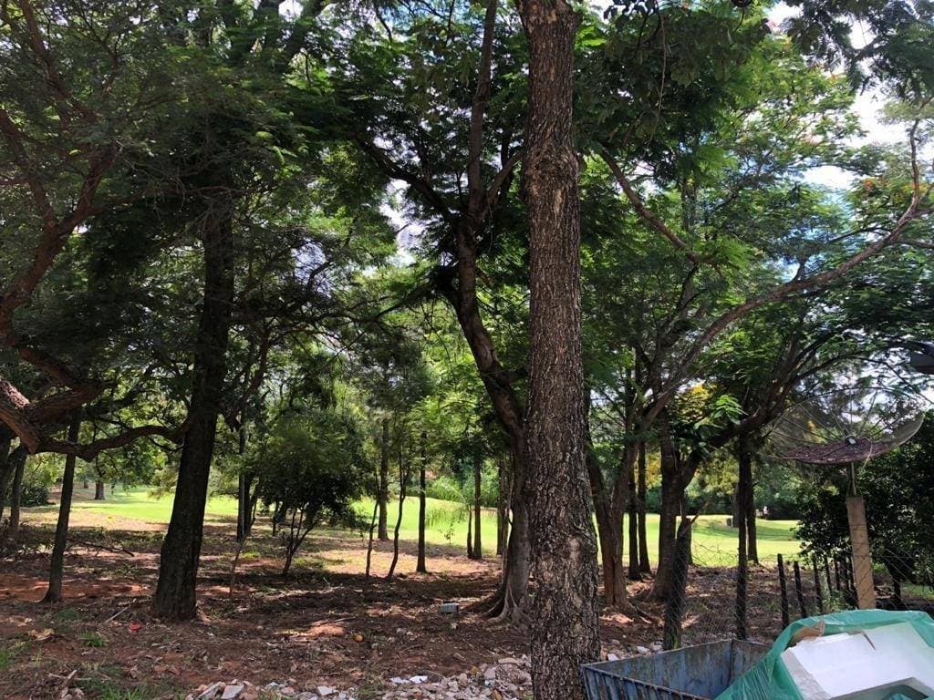 Terreno en zona privilegiada en lambare, foto 2