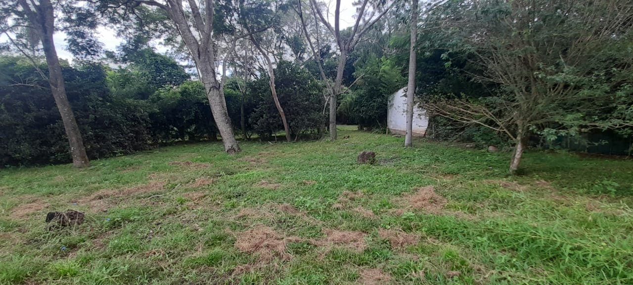 3 terrenos en loma grande, foto 1