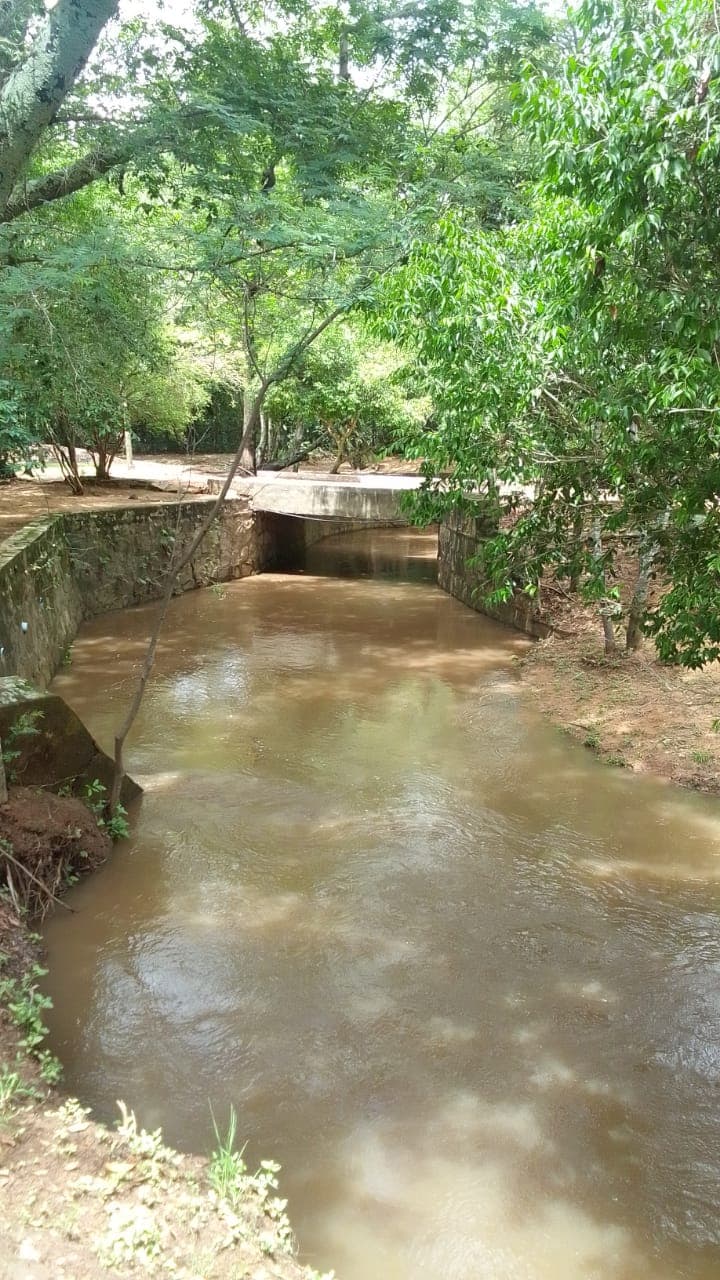 Vendo quinta de 7 has en loma grande