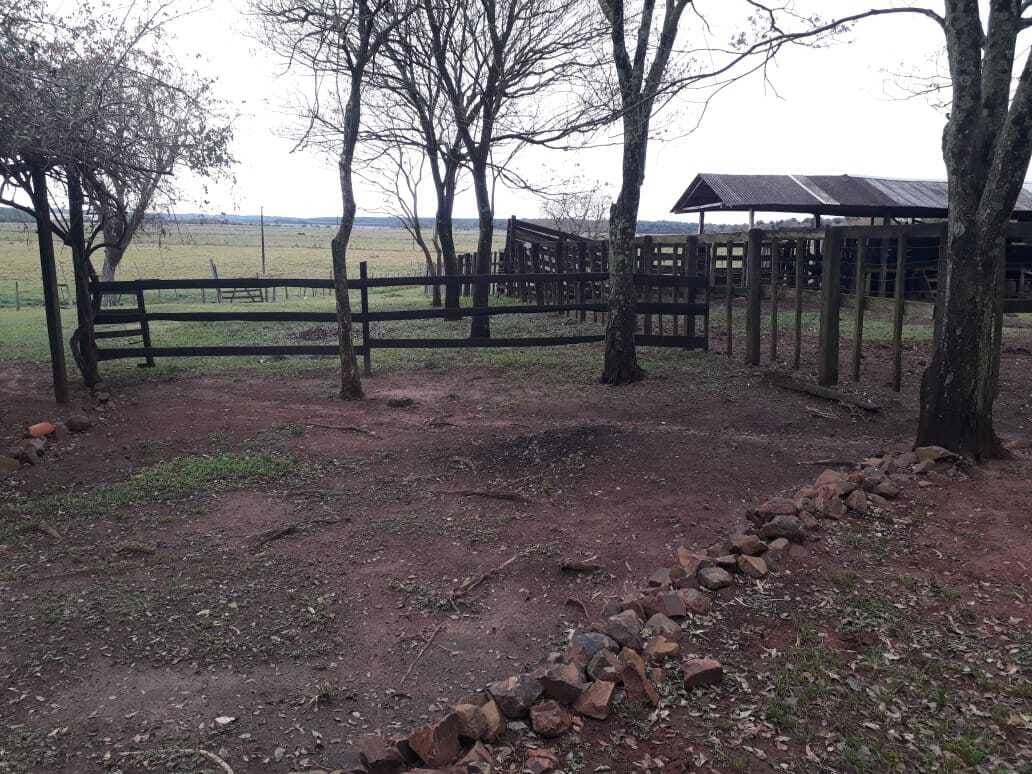 Estancia en san pedro del paraná de 80 hectáreas, foto 3