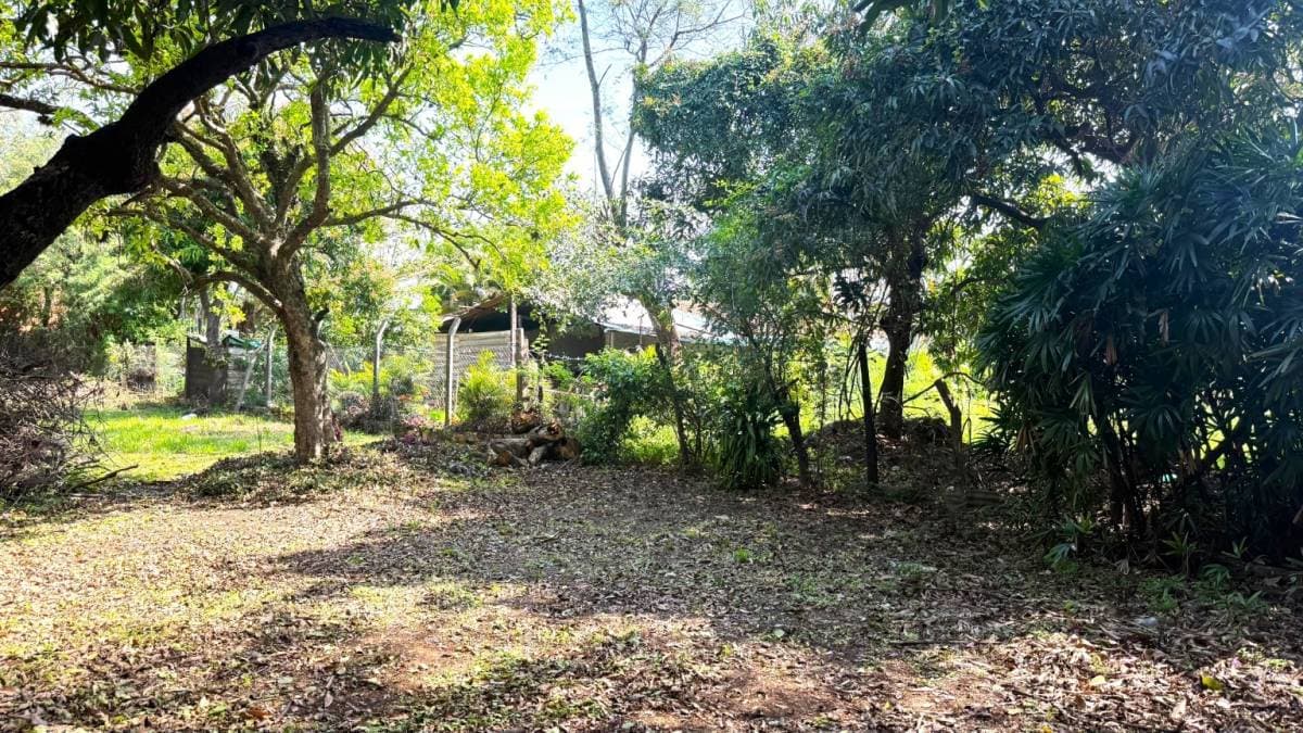TERRENO EN Luque (Entrada al Barrio Palma Loma), foto 5