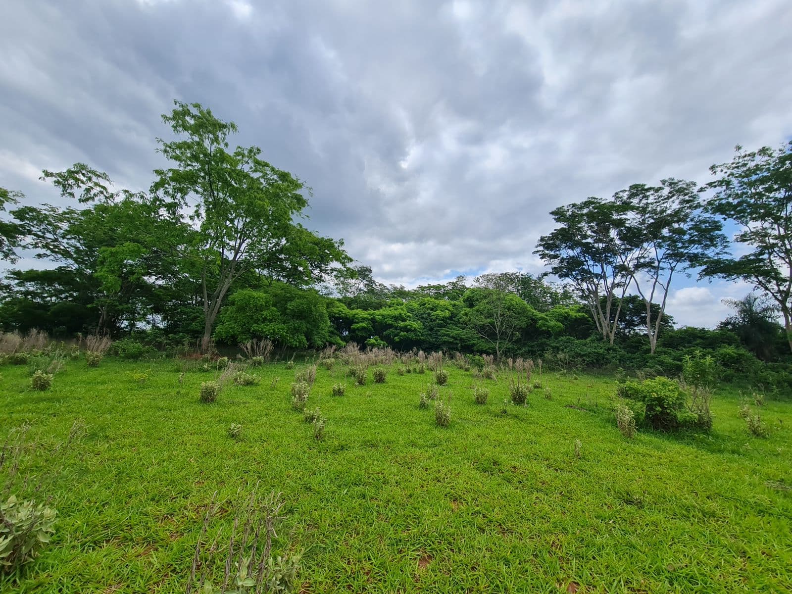 Santaní – 10 Has a 2 km de Ruta 8 — foto 5