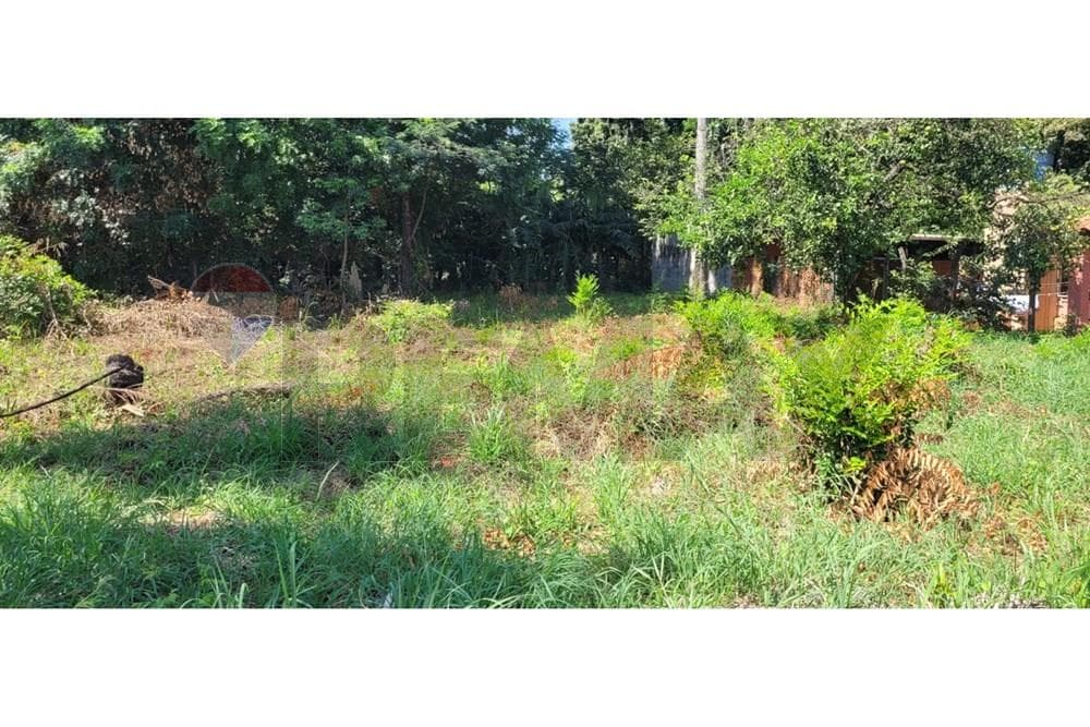 Terreno en venta - Ñemby, foto 3