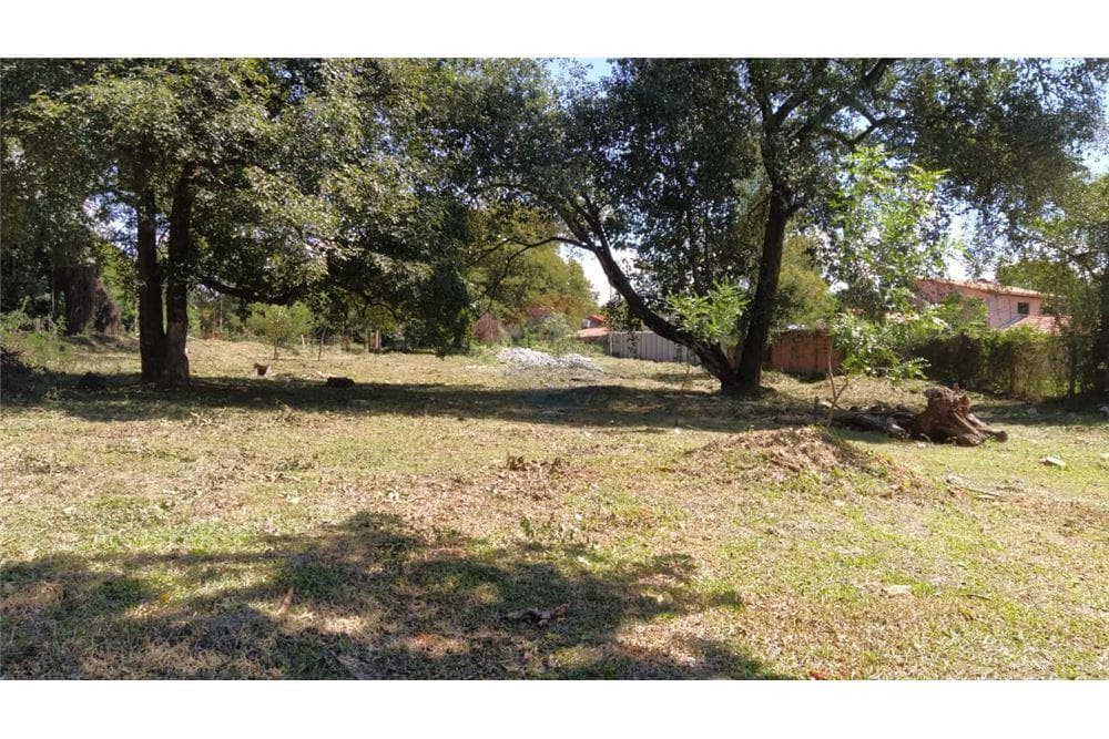 Terreno 9.807m2 - loma merlo-zona rakiura, foto 4