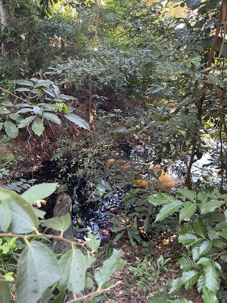 Oportunidad de inversión en tarumandy – Luque, foto 2