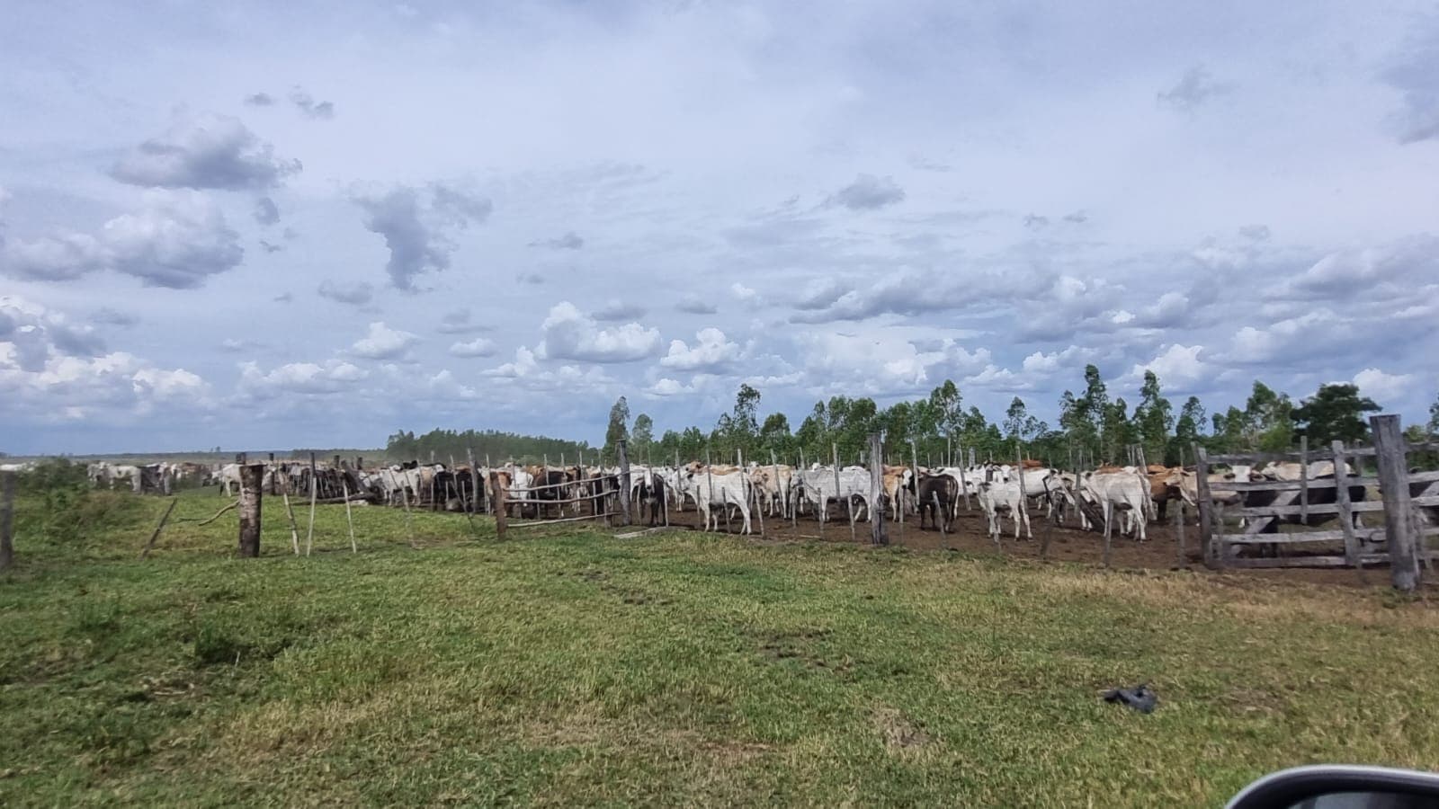 Campo de 747 Hectáreas en Santa Rosa del Aguaray - CLCS7320234, foto 4