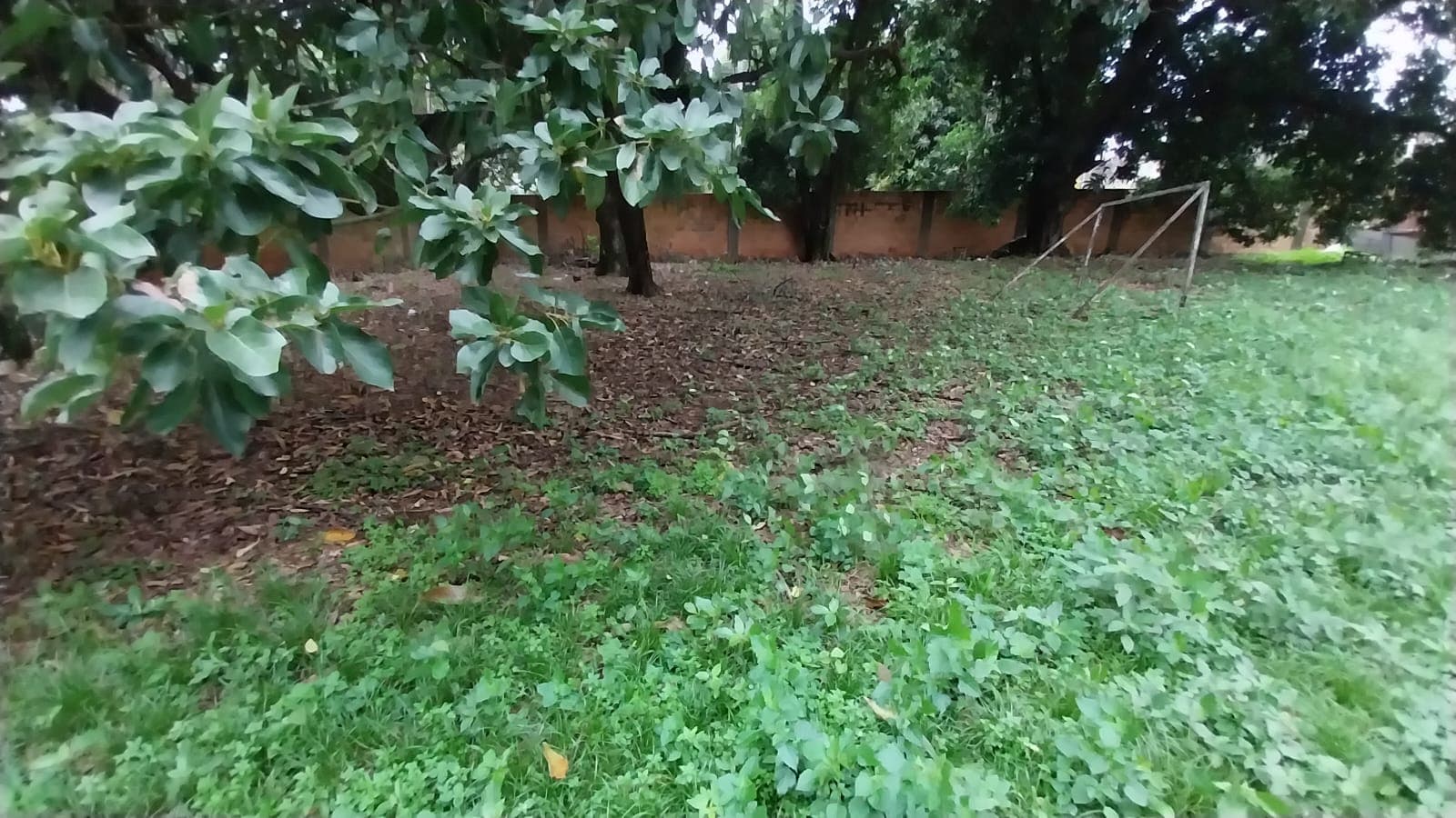 terreno a metros de Avenida Cacique Lambaré, foto 3