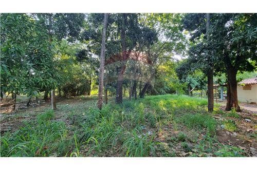 Terreno en venta, Ñemby, foto 5