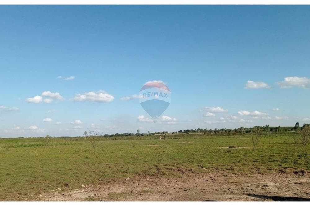 Amplio Terreno De 7 Ha En Benjamin, foto 2