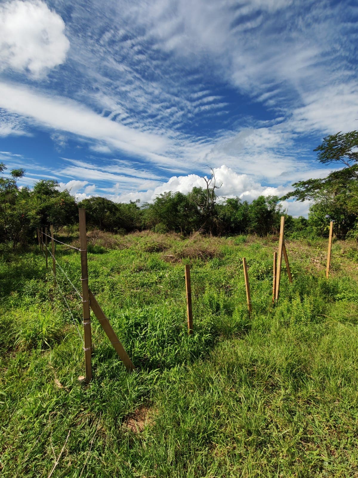 Vendo 4 terrenos en guarambare