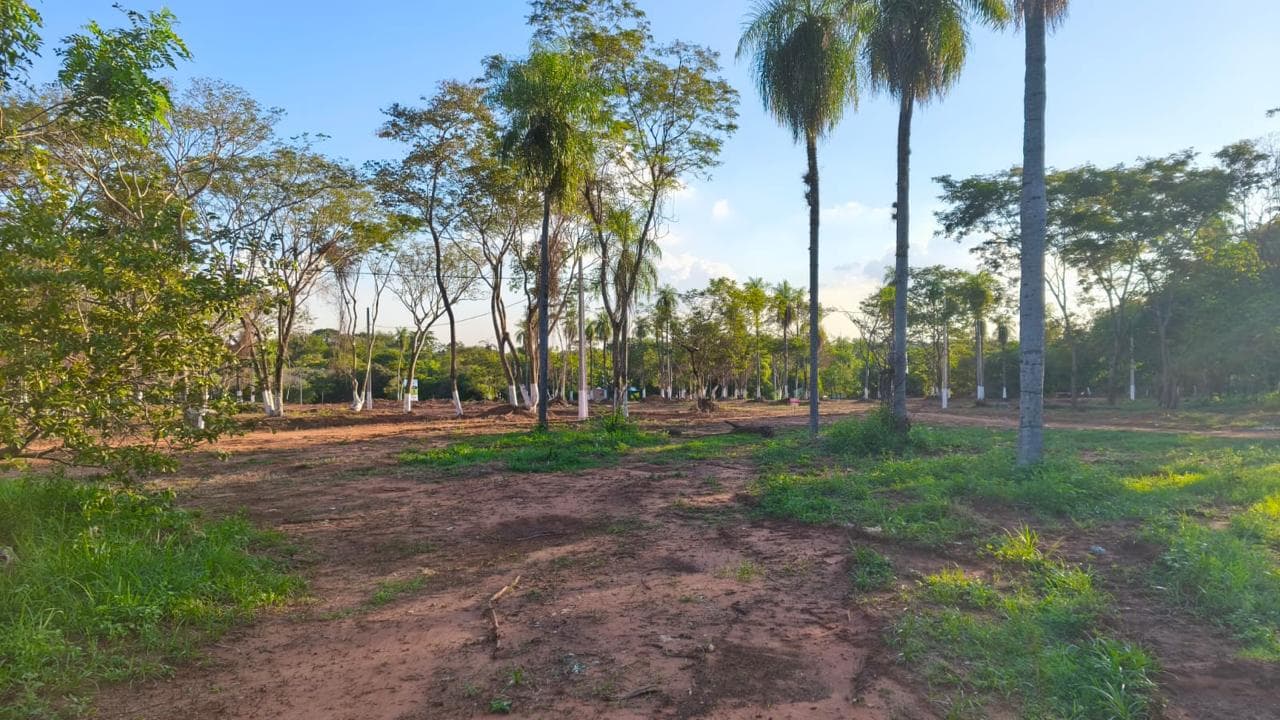 Lotes en la ciudad de Luque itapuami, foto 2