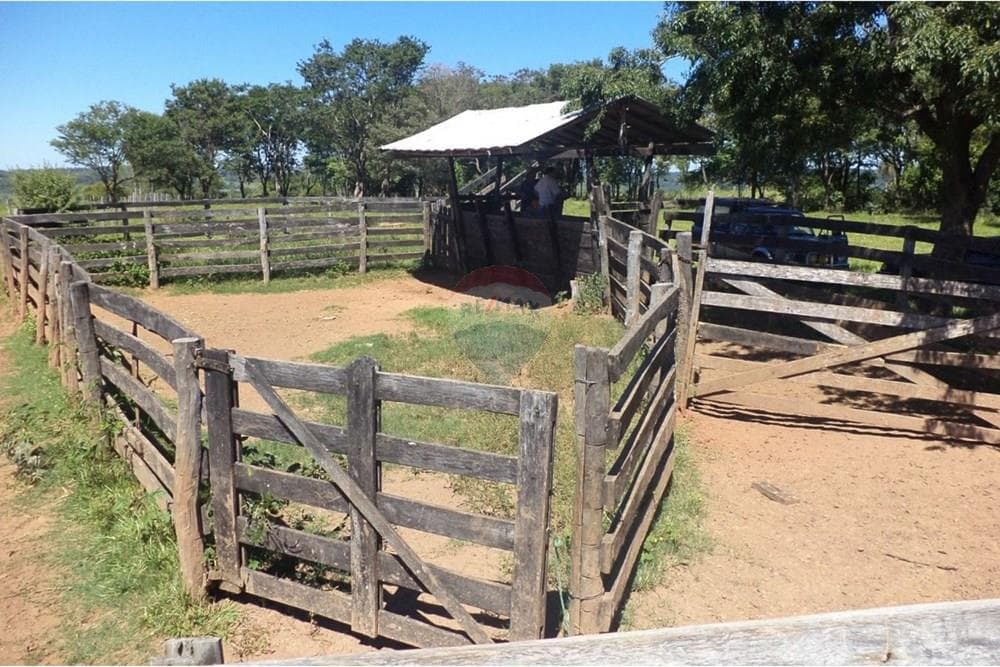 Estancia Ganadera de 65 Hectáreas es Isla Pucu, foto 3