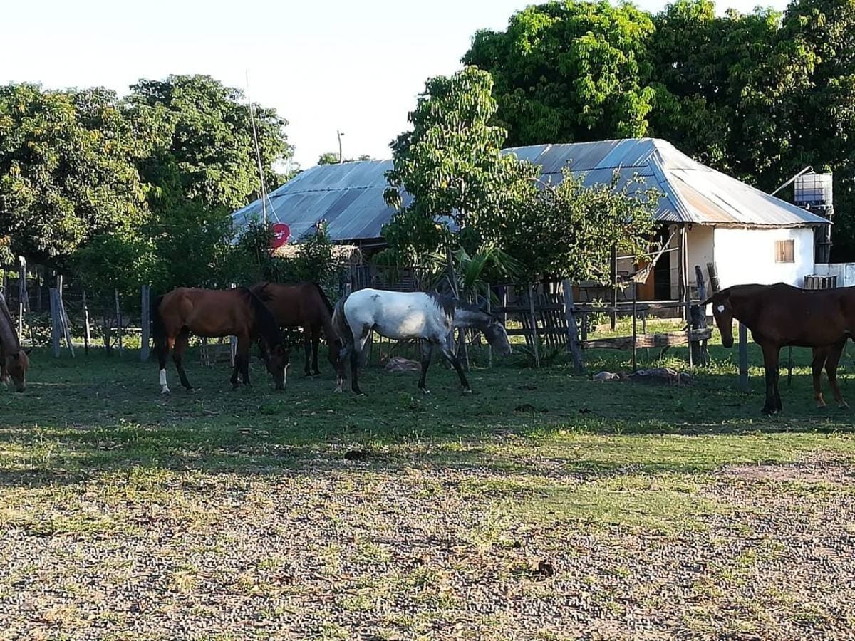 estancia en Caapucu - Departamento de Paraguarí — foto 5