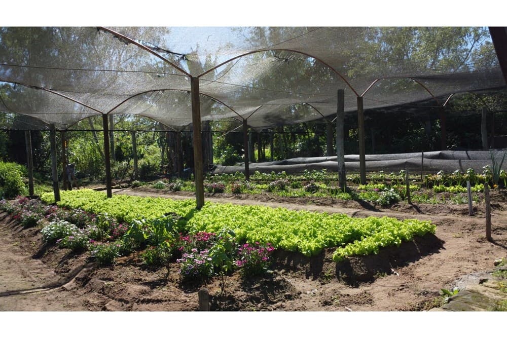 Granja productiva en itaugua, foto 4