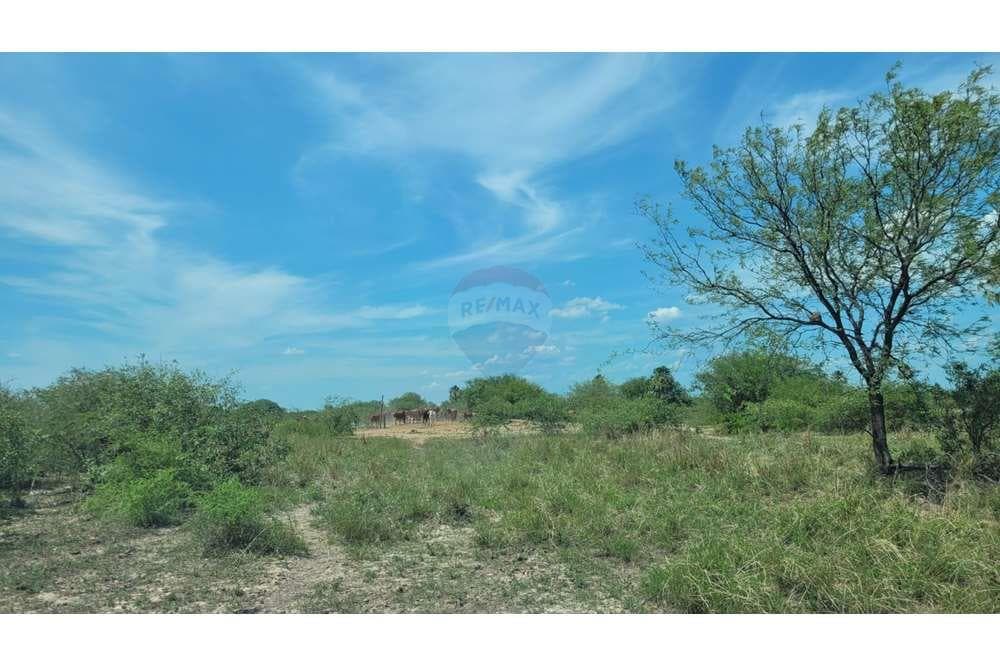 Estancia formada de 970 ha, foto 1