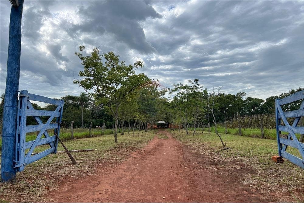 Vendo estancia de 50 hectareas en piribebuy