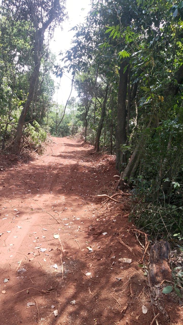 En venta 5 hectáreas en Dpto de Paraguarí