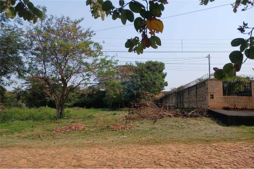 Terreno en Luque loma merlo, foto 1