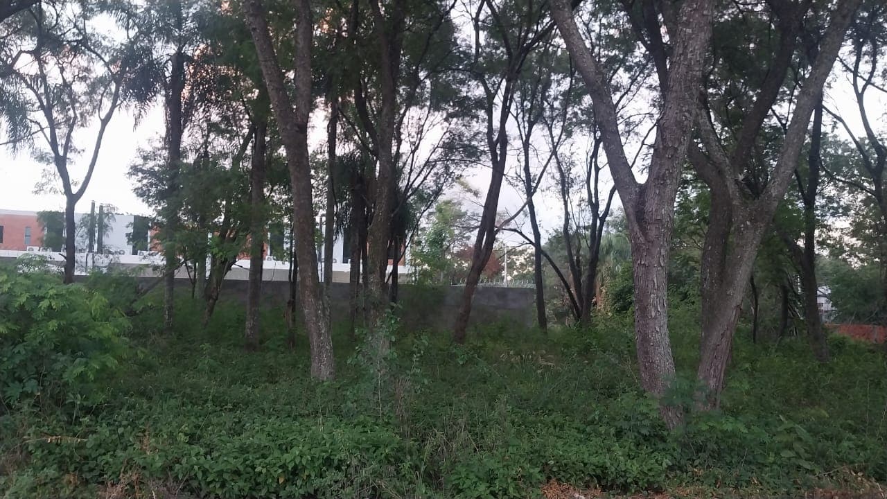 Vendo en LOMA MERLO - Luque ???? Superficie 1300 m2 (50x26)
