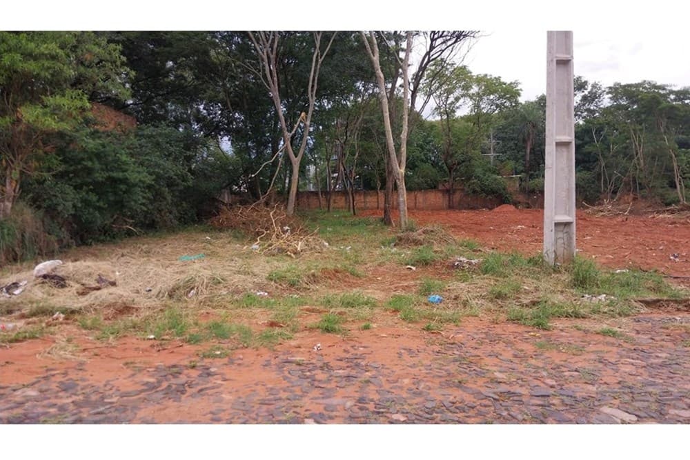 143025233-1, foto 4