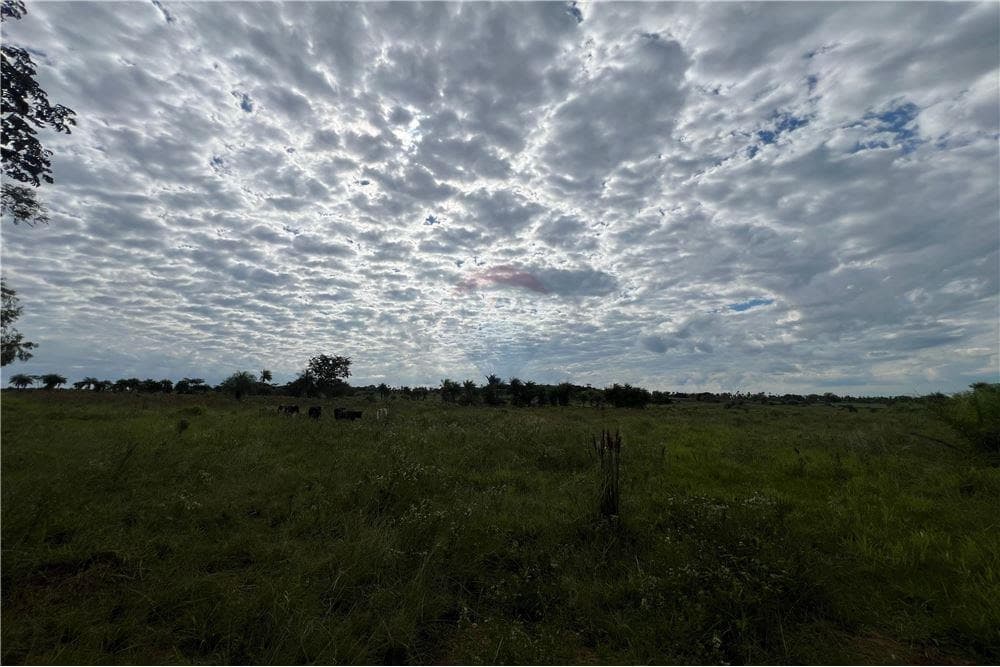 Estancia de 50 hectareas en piribebuy — foto 5