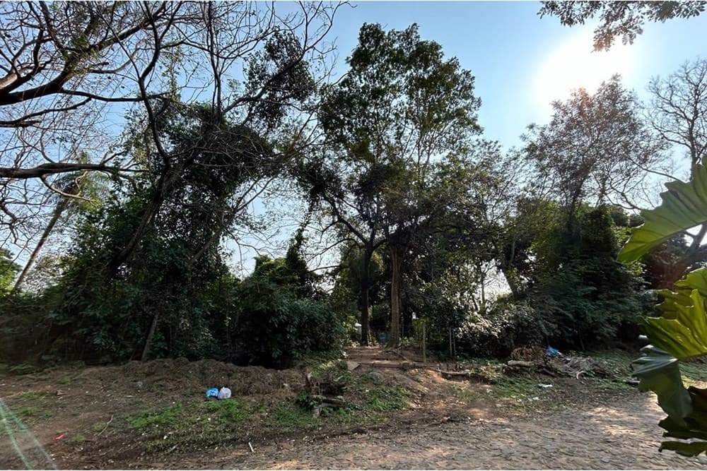Oportunidad única: Terreno Residencial De 1.156 M² En San Bernardino, foto 5