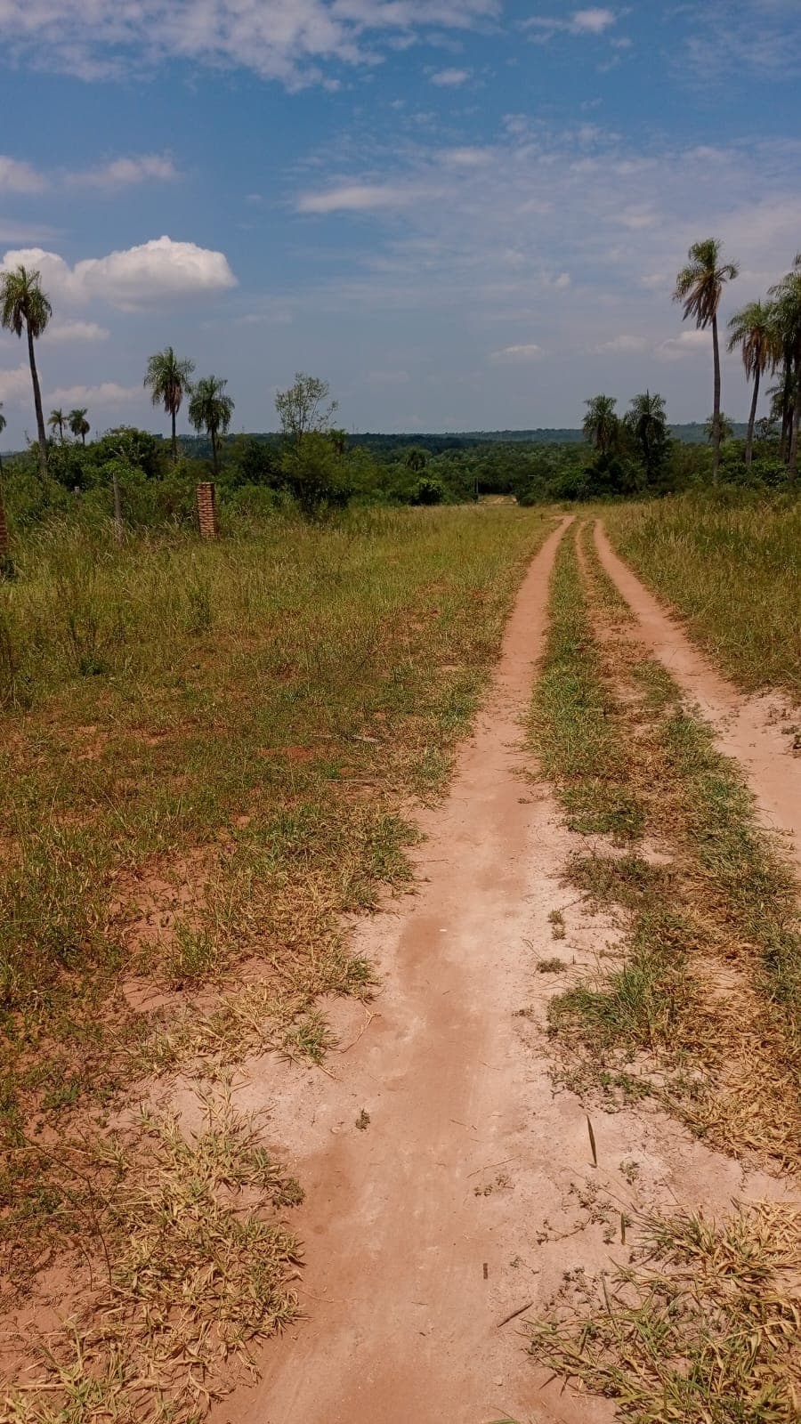 Terreno-venta-loma grande-cordillera, foto 2