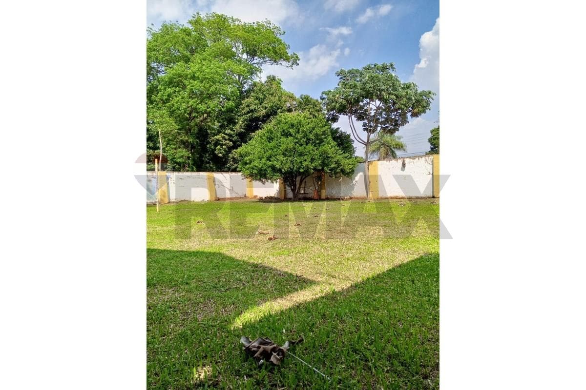 Terreno - Venta - Luque, foto 2