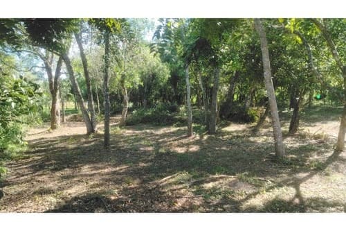 Terreno-Venta-A 200 mts de la Ruta Loma Grande - Altos, Loma Grande, Cordillera, foto 5